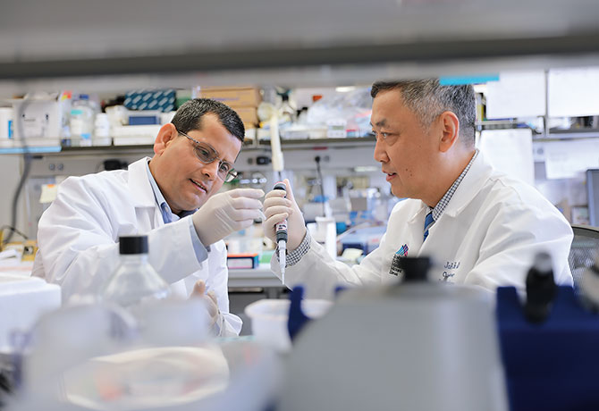 A photo showing Bhaskar Das, PhD, left, and John Cijiang He, MD, PhD