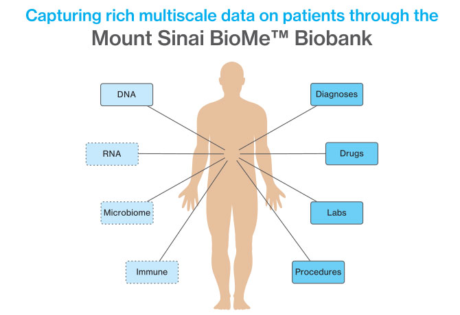 Graphic of Human Body