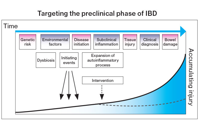 Graphic of proposed phases in the evolution of IBD from health to disease