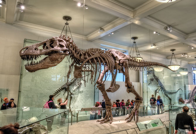 A picture of children visiting the American Museum of Natural History in New York.