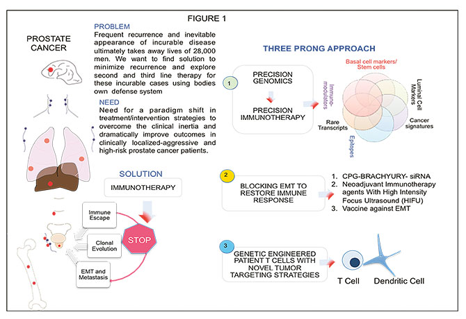image of diagram of three prong approach to prostate cancer