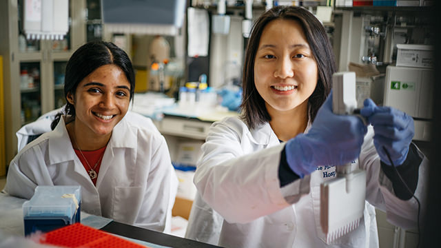Female researchers working in lab