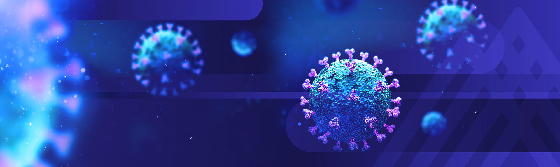 purple and blue image of cells