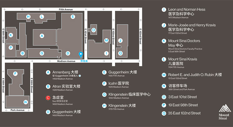 Madison Avenue and 101st Street – Chinese