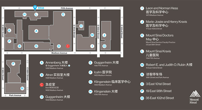 1184 Fifth Avenue – Chinese