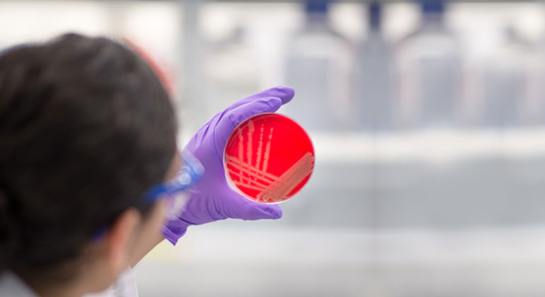 Researcher looking at sample