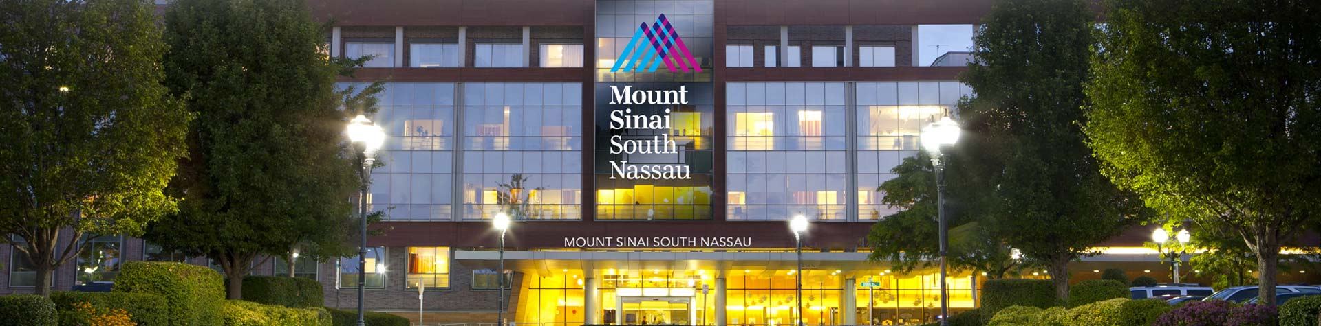 Mount Sinai Fiber Chart