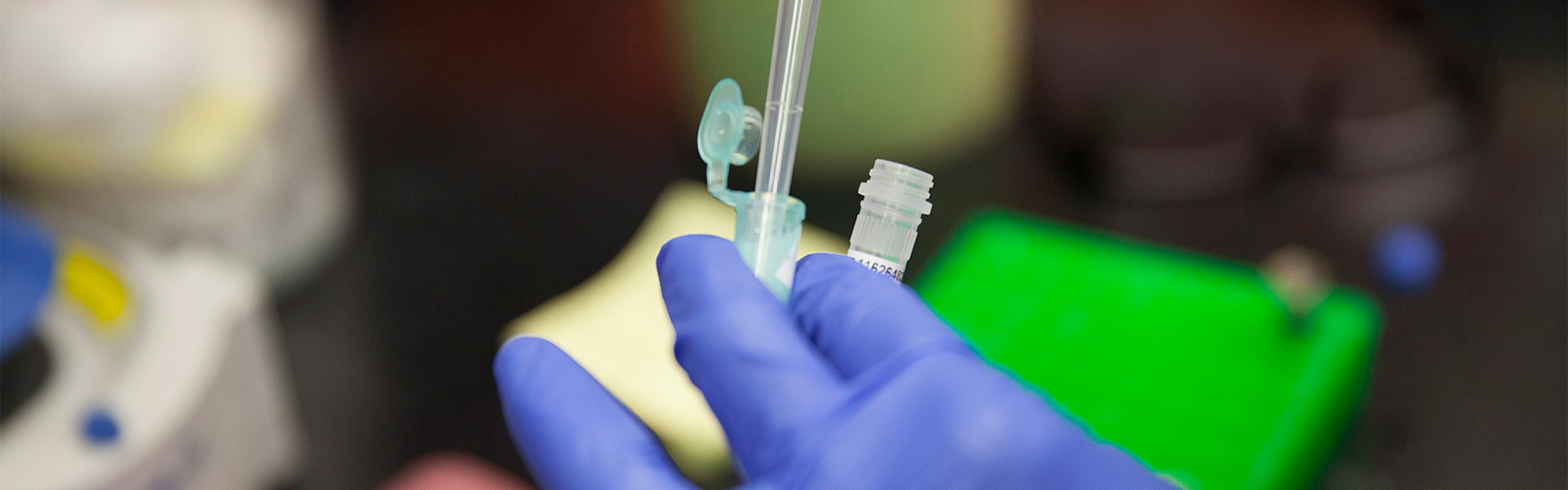 researchers working in lab