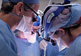 Trachea Transplant