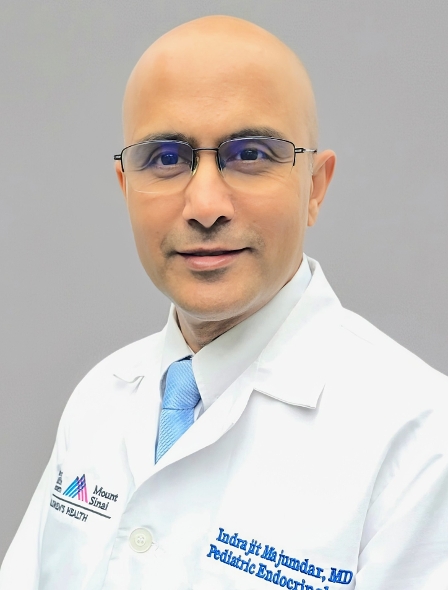 Profile image of Indrajit Majumdar