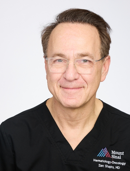 Profile image of Ilan Shapira