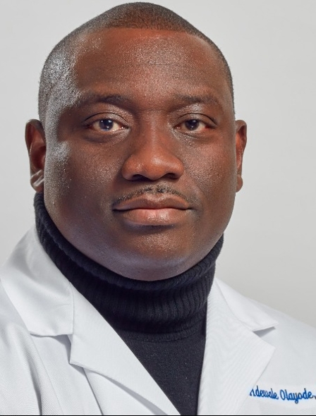 Profile image of Adewale O Olayode