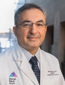 Profile image of Mehdi Oloomi