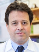 Profile image of Ioannis Tassiulas