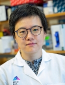 Profile image of Shuang Wang