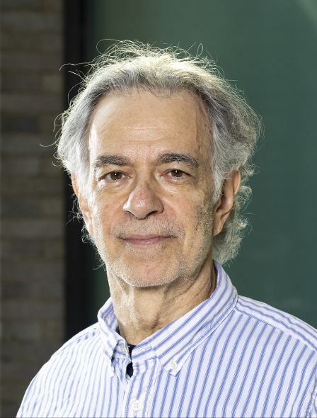 Profile image of David F Yankelevitz