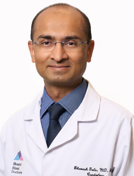 Profile image of Bhavesh Gala
