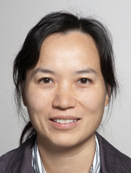 Profile image of Hongyan Zou